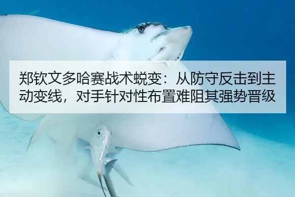 郑钦文多哈赛战术蜕变：从防守反击到主动变线，对手针对性布置难阻其强势晋级