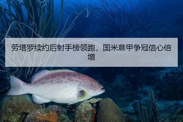 劳塔罗续约后射手榜领跑，国米意甲争冠信心倍增