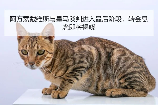 阿方索戴维斯与皇马谈判进入最后阶段，转会悬念即将揭晓